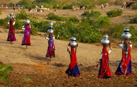 Image of women carrying water for agriculture in rural India.